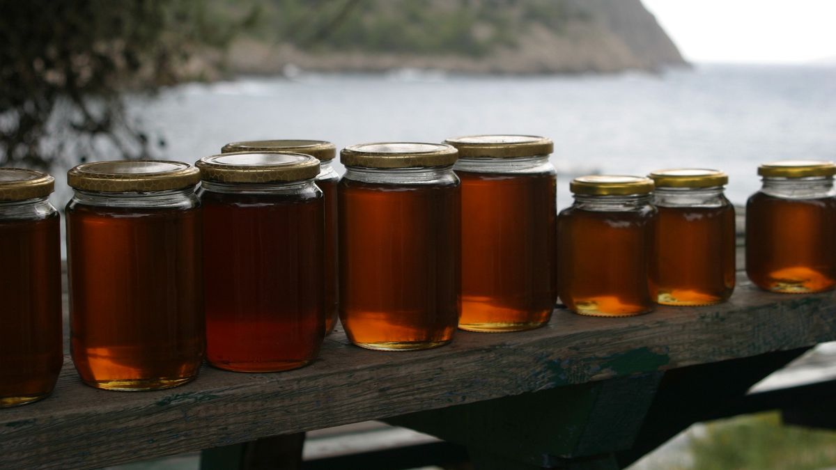 Miód w Polsce tanieje, ale to wcale nie jest dobra wiadomość