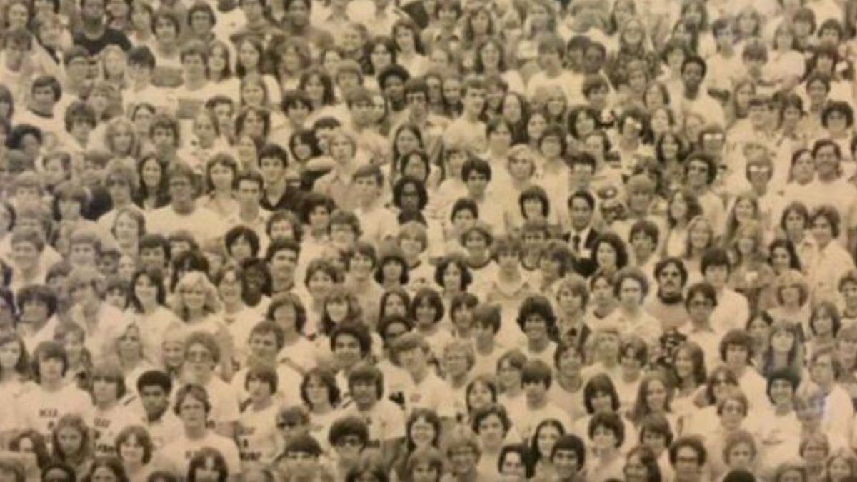 Ukryta panda na zdjęciu 