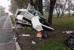 Bus wbił się w drzewo. Prokuratura wszczęła śledztwo