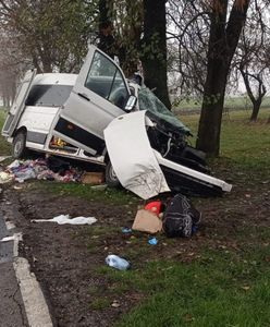 Bus wbił się w drzewo. Prokuratura wszczęła śledztwo
