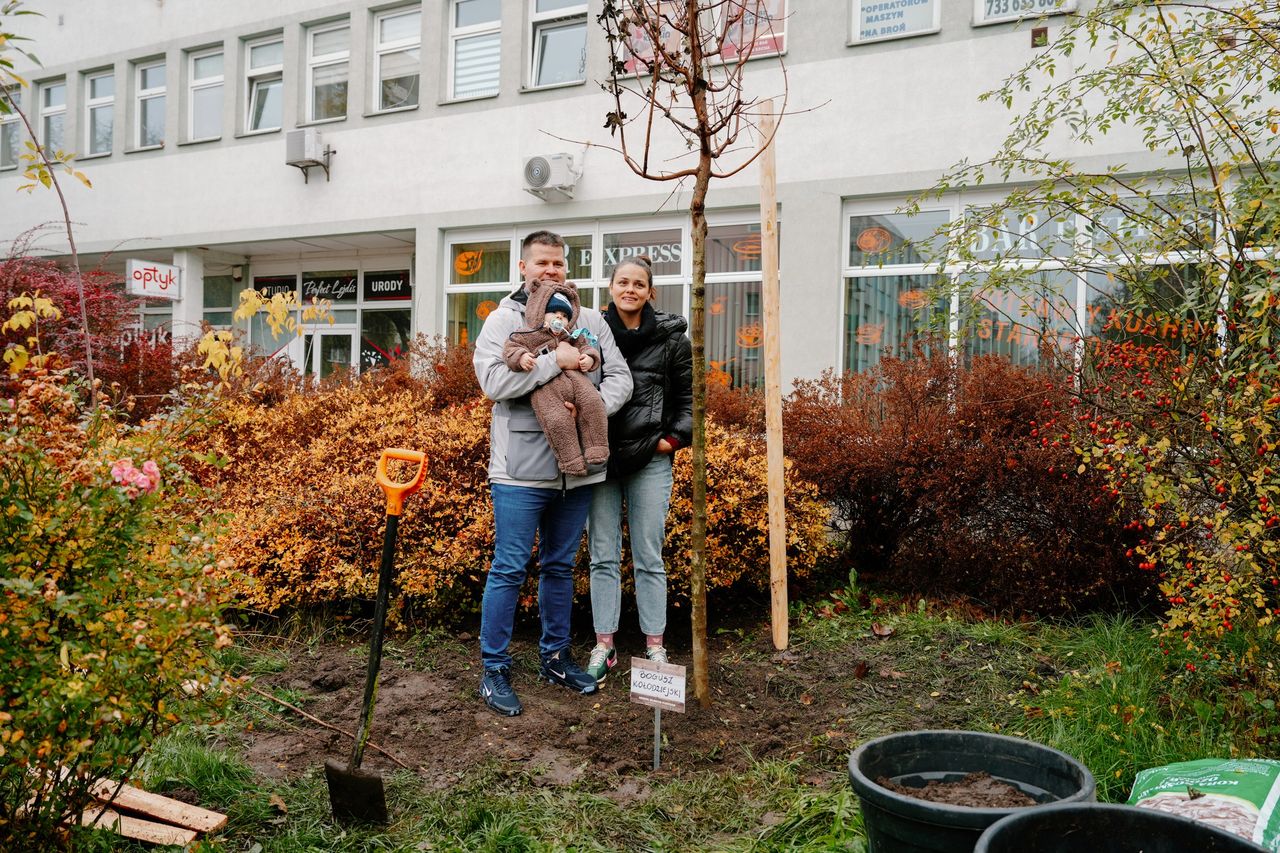 Drzewa Młodych Płocczan 