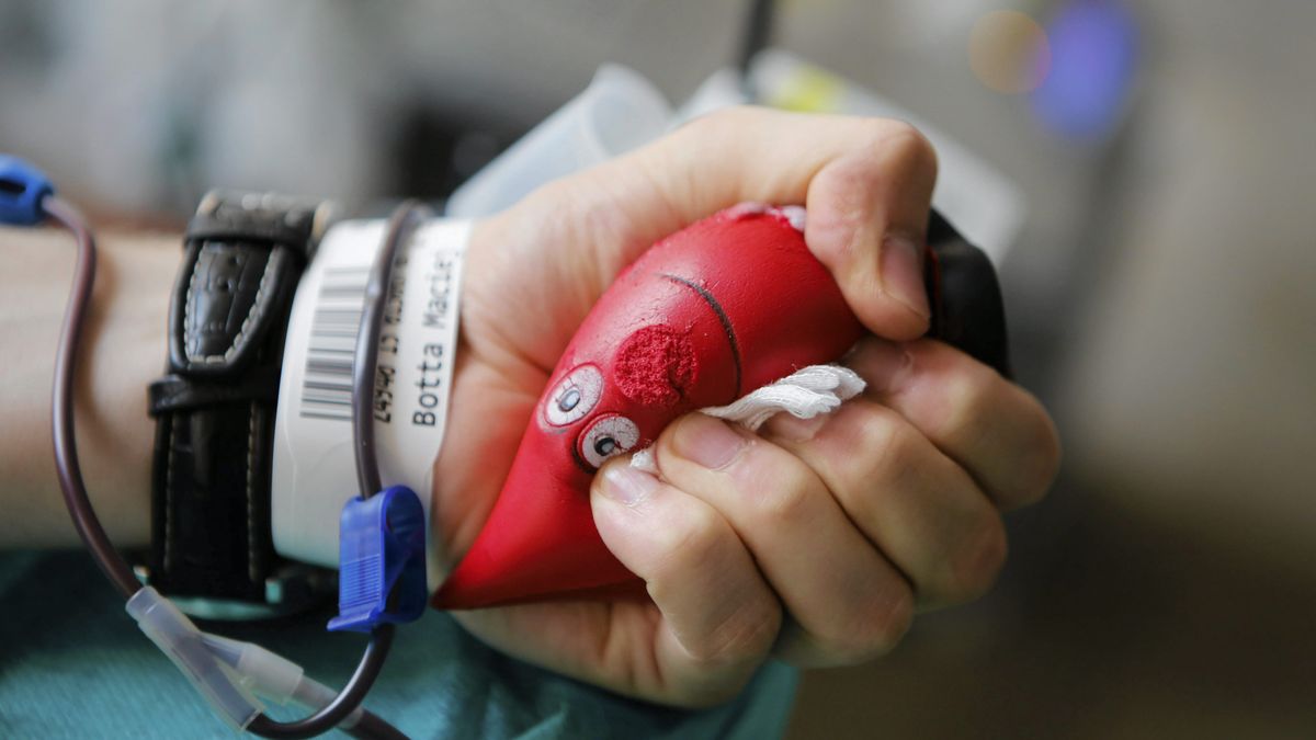 Dodatkowy dzień wolny za oddanie krwi lub jej składników może stanowić wyzwanie dla pracodawców