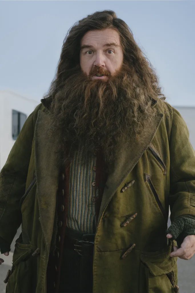 Nick Frost jako Hagrid