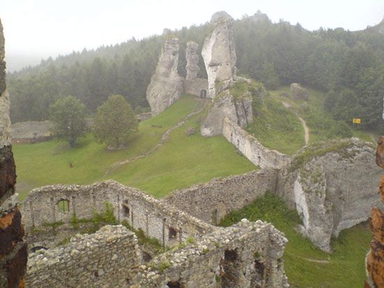Obraz
