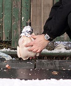 Wysadzili surową kurę