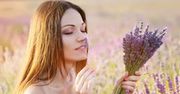 Lawenda. Znakomita dla zdrowia i urody