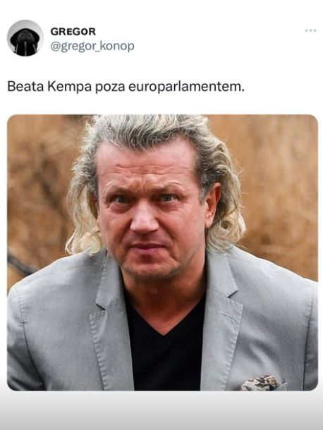 Memy po wyborach do Parlamentu Europejskiego