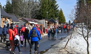 Grzaniec za 25 zł, a schabowy za 30 zł. Oto ceny na Gubałówce
