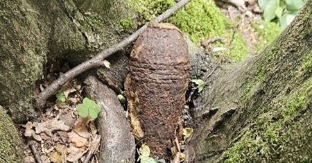 Znalazł to podczas spaceru. Natychmiast wezwał służby
