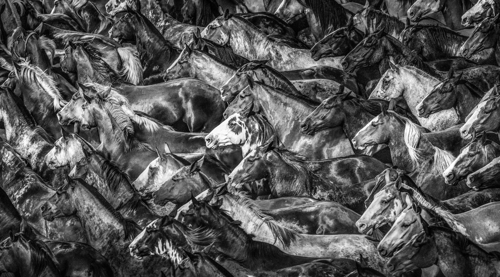 Wiatr we włosach, wolność i dzikie konie, czyli Argentyna Marcosa Furera 4