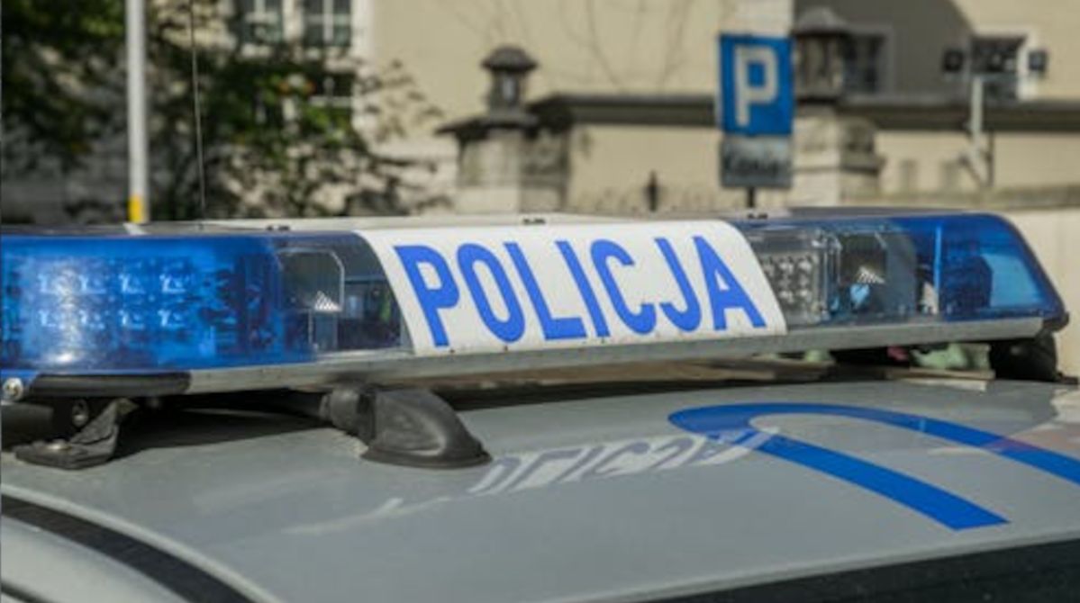 Błażejewo: Wypadek na DW434. Kierowca potrącił jelenia