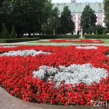 Biało-czerwona kompozycja kwiatowa w Parku Chopina