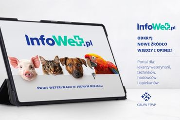 grafika