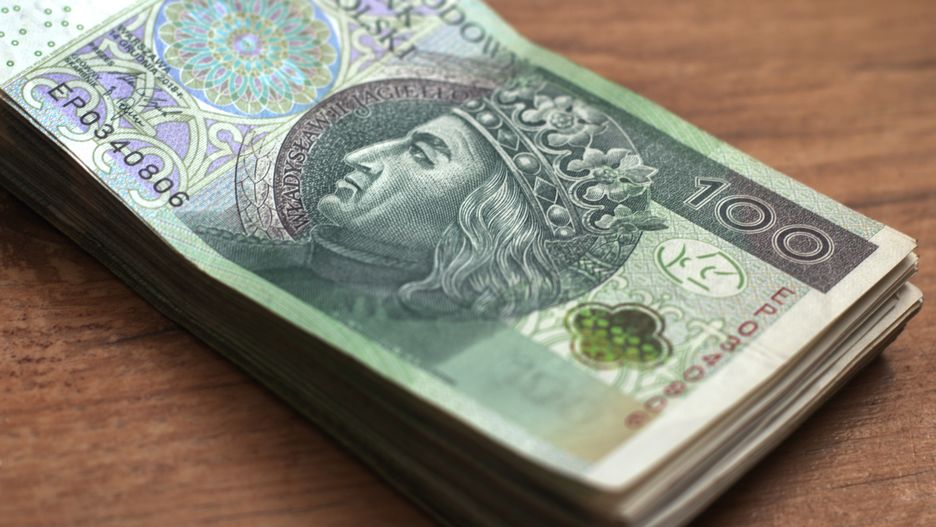 Złoty; gotówka; pieniądze