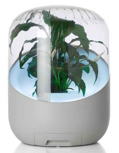 Botaniczny odświeżacz powietrza 1