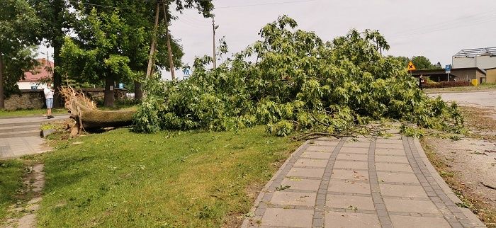 Skutki nawałnicy, która przeszła przez Karczmiska