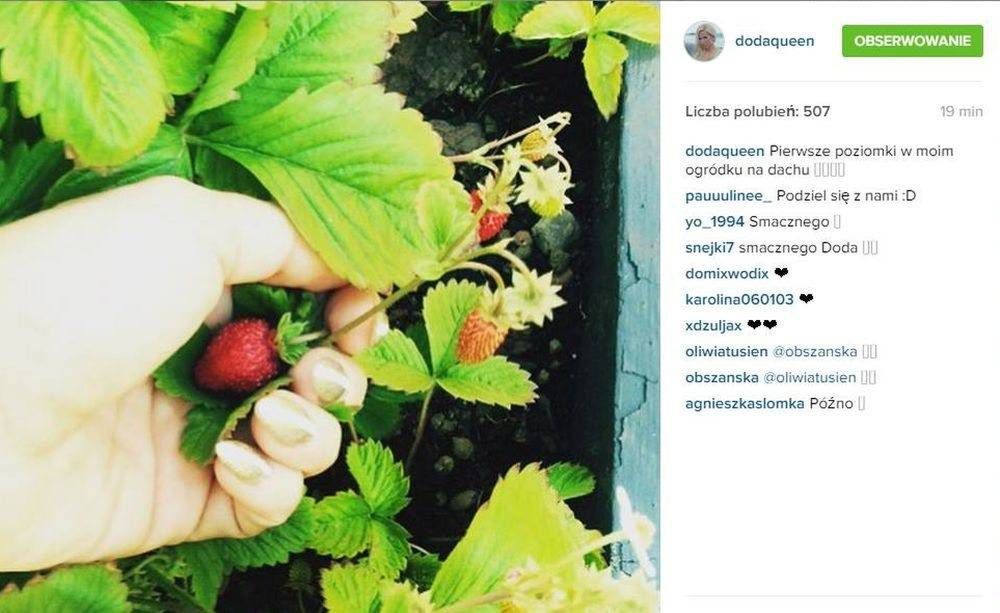 Doda pokazała zdjęcie z ogródka, fot. Instagram