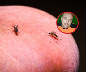 Swędzi po ugryzieniu komara? Ratownik medyczny radzi, co robić
