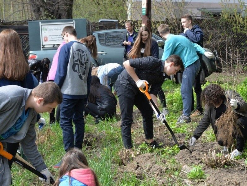 „Ochotnicy warszawscy” zasadzili 700 drzew