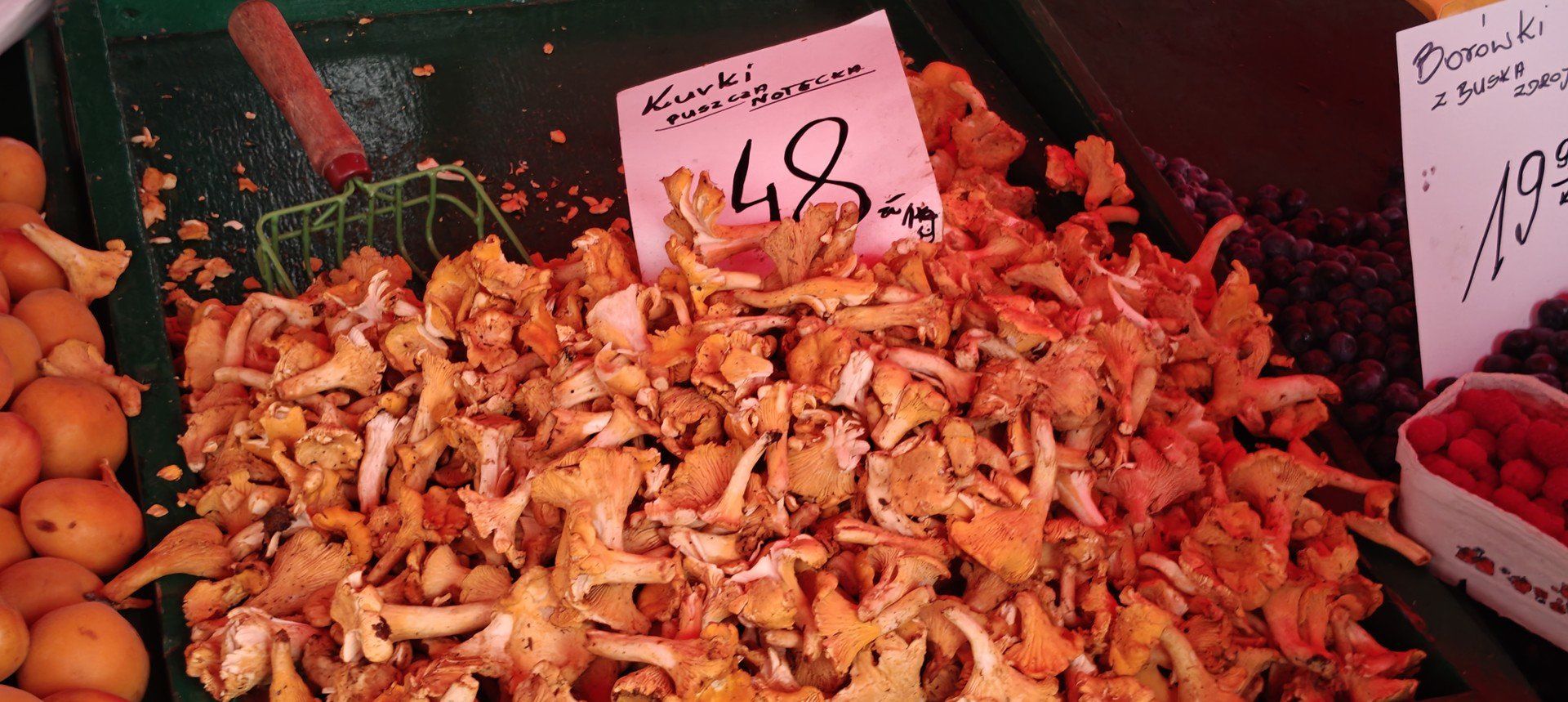 Odwiedziliśmy Targowisko Miejskie w Dąbrowie Górniczej. Bogata OFERTA warzyw i owoców oraz CENY, które przyprawiają o zawrót głowy! ZDJĘCIA