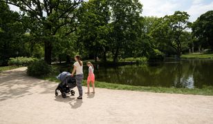 Fundusz alimentacyjny. Od początku października wchodzą w życie dwie ważne zmiany