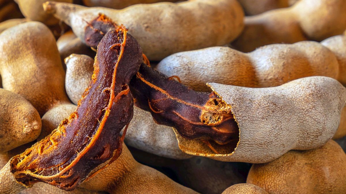 Tamaryndowiec to owoc, na który warto zwrócić uwagę w sklepie