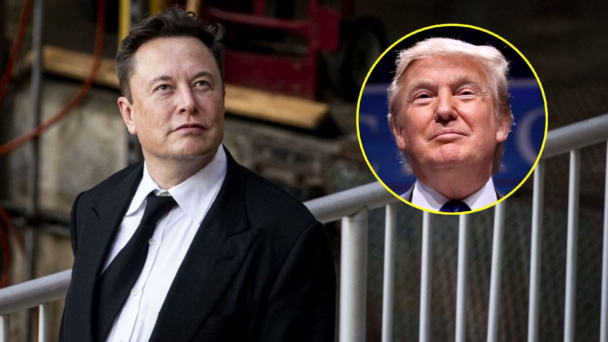 Internauci zadecydują o koncie Donalda Trumpa