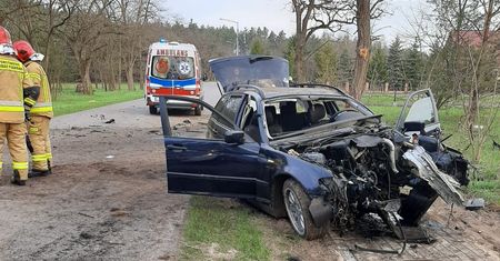 Lubelskie. Pijany 20-letni kierowca uderzył w drzewo