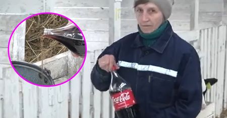 Zupełny odlot na Białorusi. Poszli sprawdzić, co się dzieje na farmie