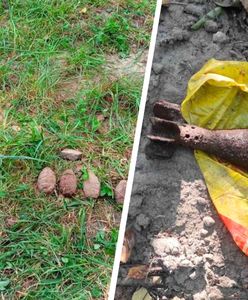 Groźne odkrycie na Mazowszu. Od sklepowej torby do nawet 8 lat więzienia