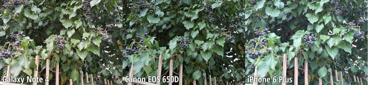 Galaxy Note 4 robi lepsze zdjęcia niż lustrzanka Canona? Wyniki eksperymentu zaskakują 2