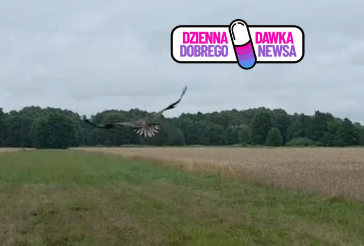 Znaleźli ją w fatalnym stanie. Dziś znów jest wolna