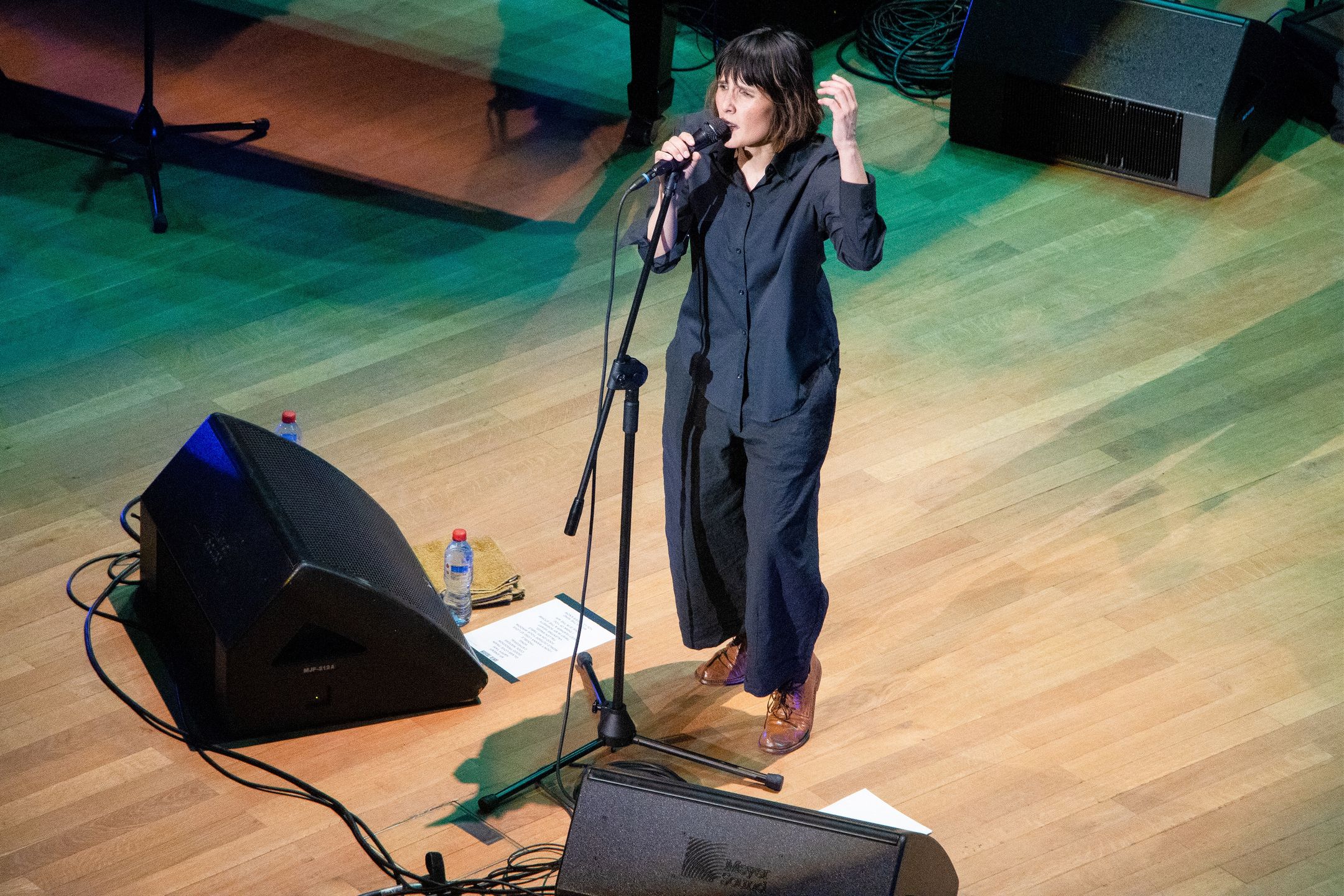 Tanita Tikaram – Wrocław 18.04.2024