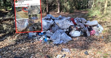 Likwidowali sklep, towar wywieźli do lasu. "Pomogło nagłośnienie sprawy"