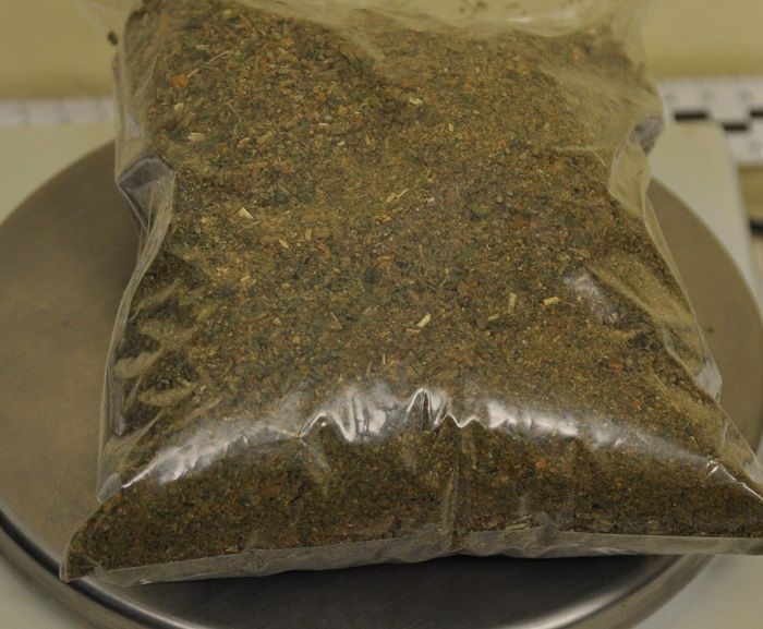 Marihuana w mieszkaniu 22-latka | fot. KMP Chełm