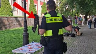 To nie fotomontaż. Taki widok w parku. Aż przyjechali strażnicy