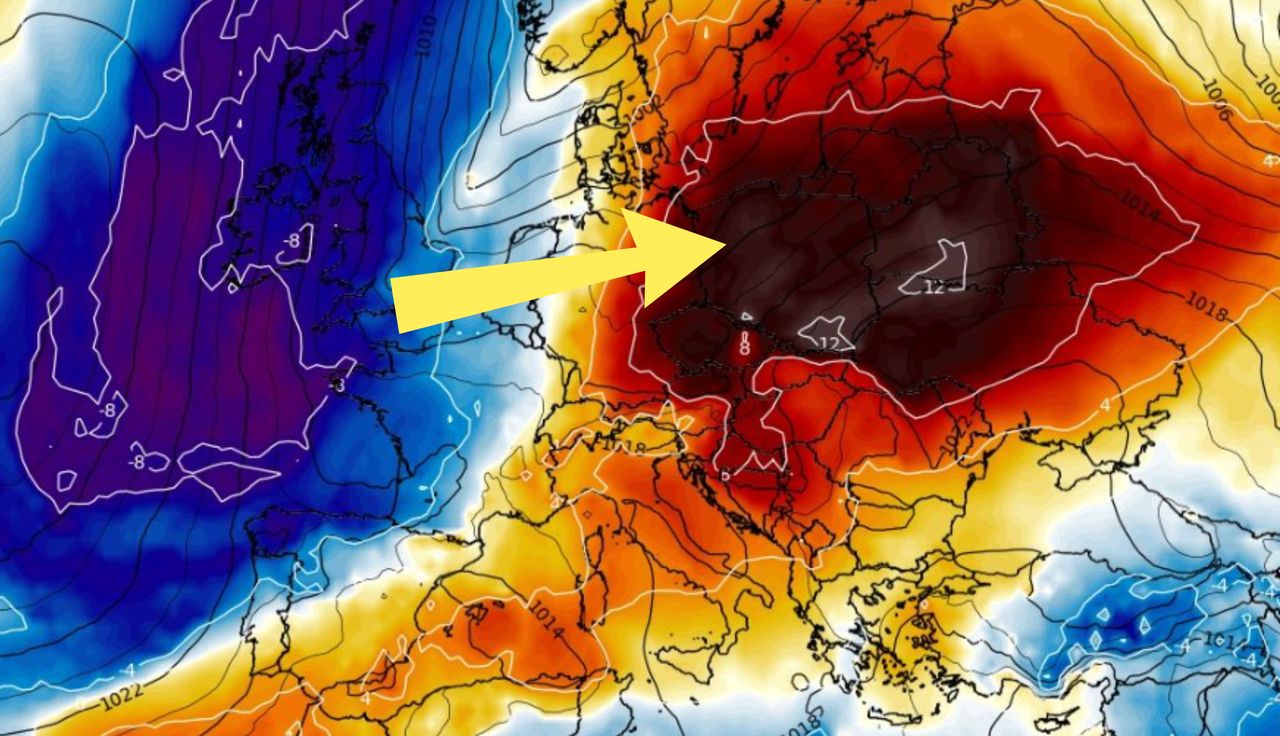 Polska na czarno. Sunie z Afryki. Taka pogoda od 19 września