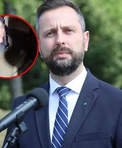 Atak na polskich żołnierzy na granicy. Komunikat MON