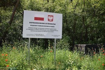 Włocławek: Łącznik ulicy Papieżka z al. Kazimierza Wielkiego już gotowy. Wkrótce nowa droga zostanie oddana do użytku