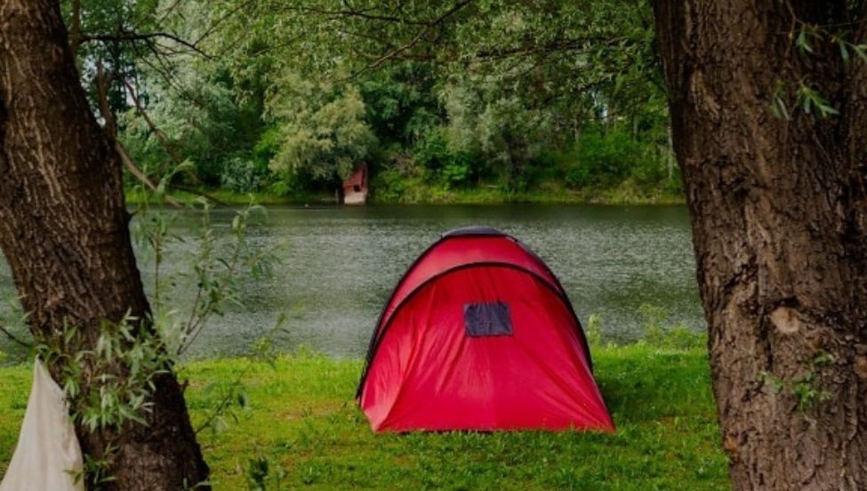 Martwy 35-latek w namiocie, niedaleko głowa kozy. Trop prowadzi do rytuału?