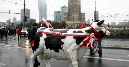 Rolnicy biorą na cel Warszawę. Zastosują taktykę z czasów Andrzeja Leppera