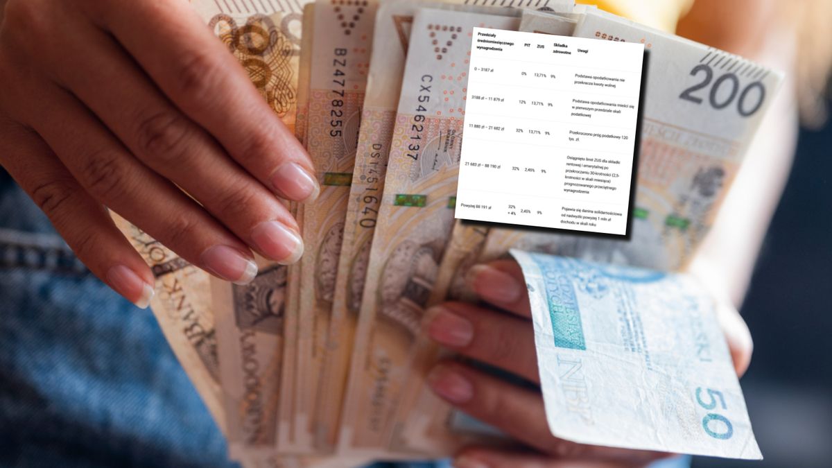 Komu fiskus zabiera połowę pensji? Oto ile państwo odciąga z naszych wynagrodzeń