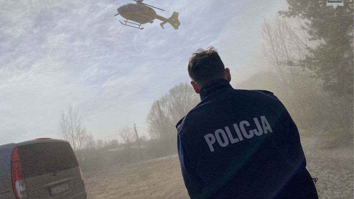 Chłopiec przygnieciony przez konar. Policja i prokurator badają 