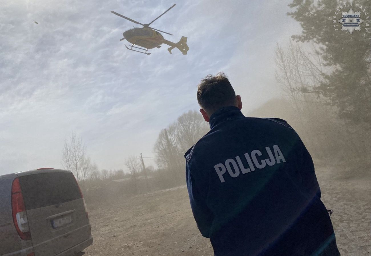 Chłopiec przygnieciony przez konar. Policja i prokurator badają 