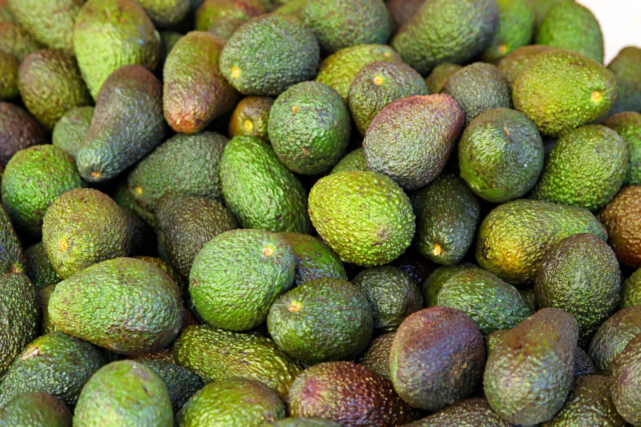 Awokado