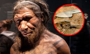 Archeolodzy odkryli 597 śladów. Neandertalczycy zaskoczyli naukowców