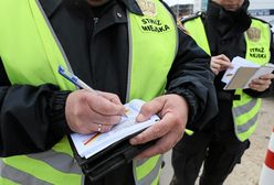 Karać nielegalną sprzedż, czy nie? Straż miejska pyta i dostaje zaskakującą odpowiedź