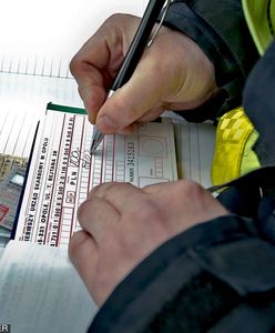 Przepisy dla kierowców pełne absurdu. Nawet otwieranie bramy podlega karze