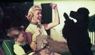 Walka o spadek po Doris Day. Wszystko zapisała swoim psom