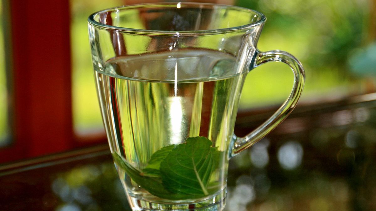 Oczyszczanie organizmu ziołami